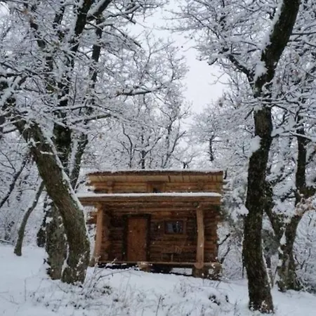 Chalet Chez Buddy - De Trappeur
